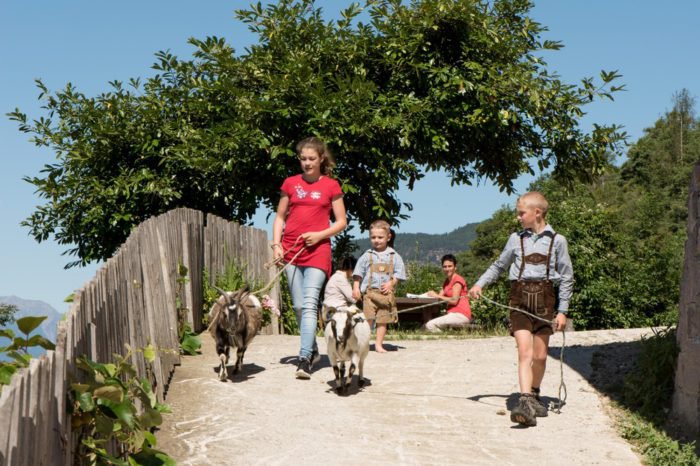 Kinderurlaub auf dem Bauernhof – spannende Erlebnisse in der Bergwelt