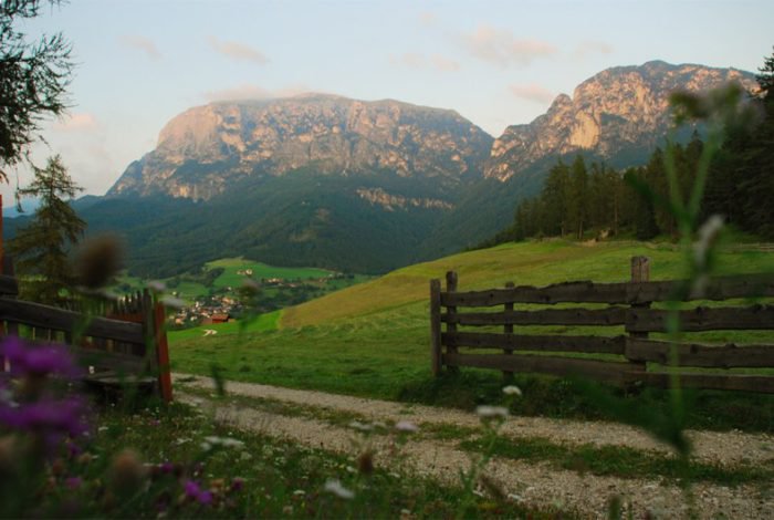 oachner-hoefeweg