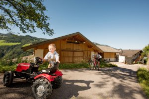 Divertimento per i bambini al maso Gfinkerhof 5