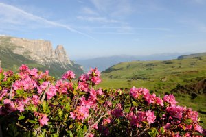 Sommerurlaub Völs am Schlern 1