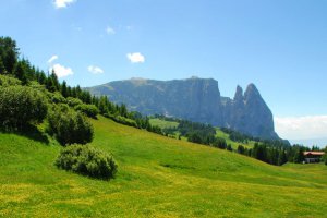 Sommerurlaub Völs am Schlern 4